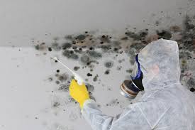 Mold Removal & Remediation